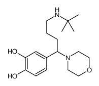 4-[4-(tert-butylamino)-1-morpholin-4-ylbutyl]benzene-1,2-diol Structure