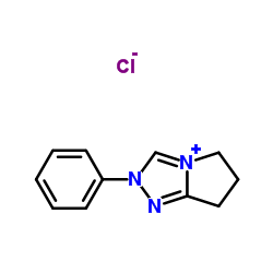 2-苯基-6,7-二氢-5H-吡咯并[2,1-c][1,2,4]三唑-2-鎓氯化物图片