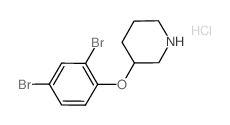 3-(2,4-Dibromophenoxy)piperidine hydrochloride Structure
