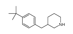 3-[[4-(1,1-DIMETHYLETHYL)PHENYL]METHYL]-PIPERIDINE结构式