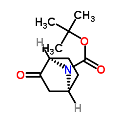 (1R,4S)-7-叔丁氧羰基-2-氧代-7-氮杂双环[2.2.1]庚烷结构式