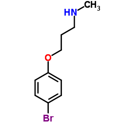 3-(4-Bromophenoxy)-N-methyl-1-propanamine picture