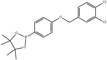 1,3,2-Dioxaborolane, 2-[4-[(3,4-dichlorophenyl)methoxy]phenyl]-4,4,5,5-tetramethyl-图片