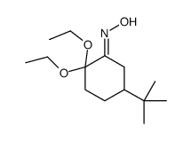 N-(5-tert-butyl-2,2-diethoxycyclohexylidene)hydroxylamine结构式