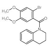 Methanone,(2-bromo-4,5-dimethoxyphenyl)(3,4-dihydro-1(2H)-quinolinyl)-结构式