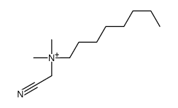 cyanomethyl-dimethyl-octylazanium Structure