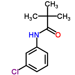 N-(6-氯吡啶-2-基)-2,2-二甲基丙酰胺图片