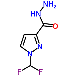 1-DIFLUOROMETHYL-1 H-PYRAZOLE-3-CARBOXYLIC ACID HYDRAZIDE picture