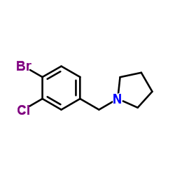 1-[(4-Bromo-3-chlorophenyl)methyl]-pyrrolidine picture