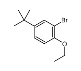 2-BROMO-4-(TERT-BUTYL)-1-ETHOXYBENZENE structure