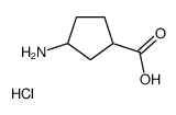 3-aminocyclopentane-1-carboxylic acid hydrochloride structure