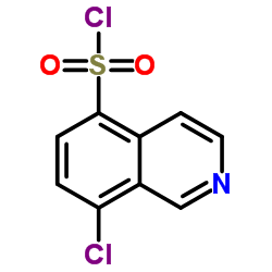 8-Chloro-5-isoquinolinesulfonyl chloride structure