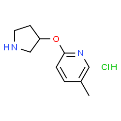 5-Methyl-2-(pyrrolidin-3-yloxy)pyridine hydrochloride structure