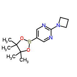 2-(1-Azetidinyl)-5-(4,4,5,5-tetramethyl-1,3,2-dioxaborolan-2-yl)pyrimidine Structure