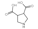 Pyrrolidine-3,4-dicarboxylic acid Structure