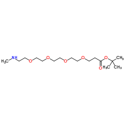 Methylamino-PEG4-Boc结构式