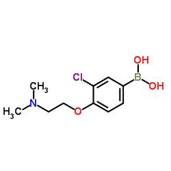 (3-氯-4-(2-(二甲氨基)乙氧基)苯基)硼酸结构式