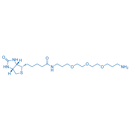 Biotin-PEG3-C3-NH2 Structure