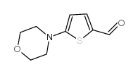 5-吗啉-4-噻吩-2-甲醛结构式
