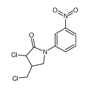 3-chloro-4-(chloromethyl)-1-(3-nitrophenyl)pyrrolidin-2-one结构式