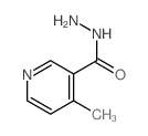 4-methylpyridine-3-carbohydrazide structure