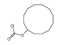 cyclododecyl chloroformate Structure