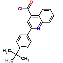 2-(4-tert-butylphenyl)quinoline-4-carbonyl chloride picture