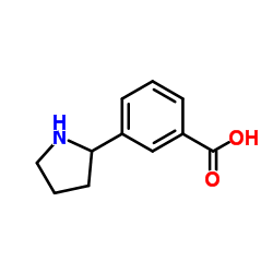 3-(2-Pyrrolidinyl)benzoic acid结构式