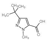3-tert-Butyl-1-methylpyrazole-5-carboxylic Acid picture