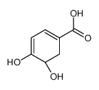 1,3-Cyclohexadiene-1-carboxylicacid,4,5-dihydroxy-,(R)-(9CI)结构式