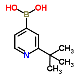 (2-(tert-butyl)pyridin-4-yl)boronic acid图片