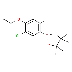 5-Chloro-2-fluoro-4-isopropoxyphenylboronic acid pinacol ester结构式