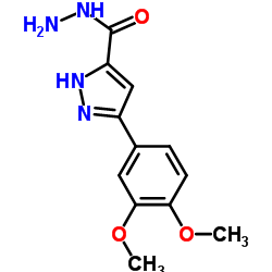 5-(3,4-DIMETHOXY-PHENYL)-2H-PYRAZOLE-3-CARBOXYLIC ACID HYDRAZIDE结构式