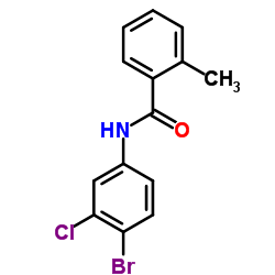 N-(4-Bromo-3-chlorophenyl)-2-methylbenzamide picture