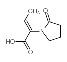 1-Pyrrolidineaceticacid,alpha-ethylidene-2-oxo-,(alphaZ)-(9CI)结构式