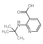 2-(tert-Butylamino)nicotinic acid structure