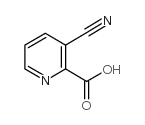 3-氰基吡啶-2-羧酸结构式