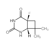 (1S,6S)-1-fluoro-7,7-dimethyl-3,5-diazabicyclo[4.2.0]octane-2,4-dione结构式