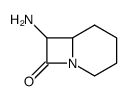 1-Azabicyclo[4.2.0]octan-8-one,7-amino-(9CI) structure