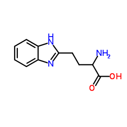 2-AMINO-4-(1H-BENZOIMIDAZOL-2-YL)-BUTYRIC ACID图片