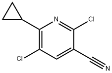 2,5-二氯-6-环丙基烟腈结构式