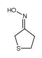 tetrahydrothiophen-3-one oxime Structure