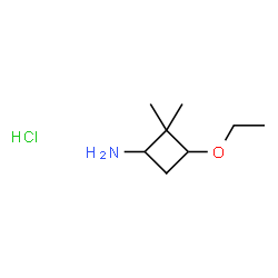 3-Ethoxy-2,2-dimethylcyclobutan-1-amine hydrochloride结构式