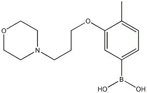 (4-Methyl-3-(3-morpholinopropoxy)phenyl)boronic acid structure