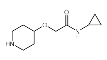 N-环丙基-2-(4-氧基-哌啶)乙酰胺结构式