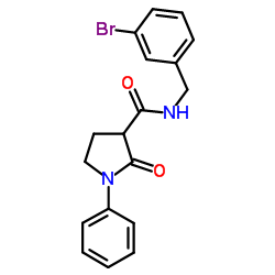 N-(3-Bromobenzyl)-2-oxo-1-phenyl-3-pyrrolidinecarboxamide Structure