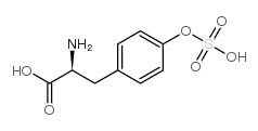 tyrosine O-sulfate结构式