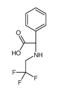 (2R)-2-phenyl-2-(2,2,2-trifluoroethylamino)acetic acid结构式