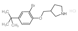 2-Bromo-4-(tert-butyl)phenyl 3-pyrrolidinylmethyl-ether hydrochloride Structure