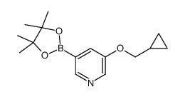 3-(环丙基甲氧基)-5-(4,4,5,5-四甲基-1,3,2-二氧硼戊烷-2-基)吡啶图片